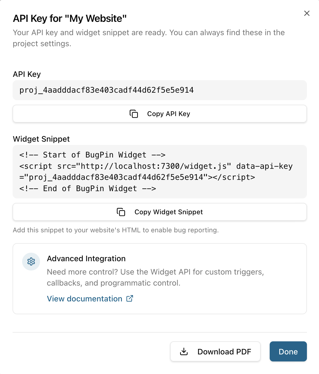 Project API key displayed with copy button